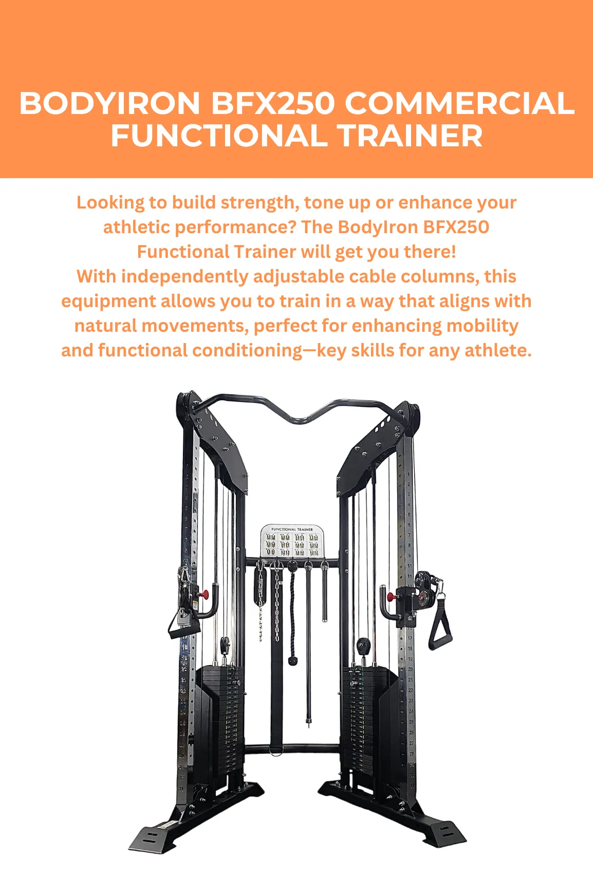 BodyIron BFX250 Commercial Functional Trainer