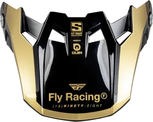 FORMULA S CARBON LEGACY VISOR BLACK/GOLD MD/LG