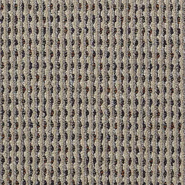 Functional Commercial Carpet