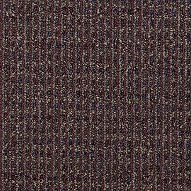 Functional Commercial Carpet