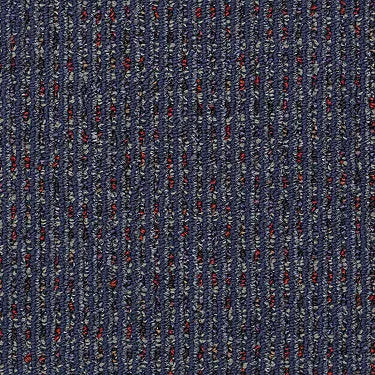 Functional Commercial Carpet