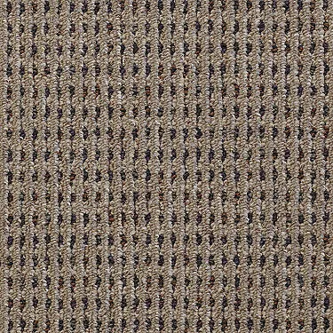 Functional Commercial Carpet