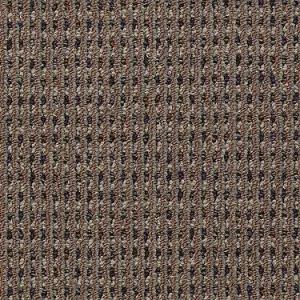 Functional Commercial Carpet