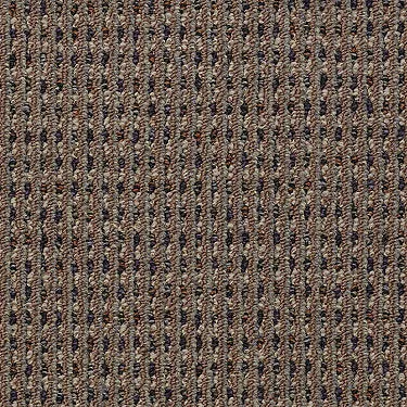 Functional Commercial Carpet