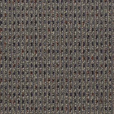 Functional Commercial Carpet